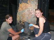 Students uncover mural.
