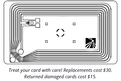 ID Infographic 2 ID Infographic 2