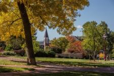 Fall Trees on Campus