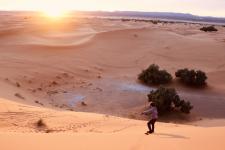 Photo by Rayna Rosenthal of a person looking out over an expanse of sand dunes at sunset.