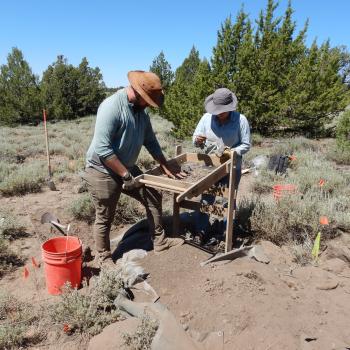 Students outside in a dry field conducting research. 